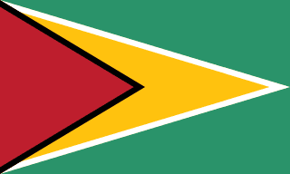 Guyana  flag